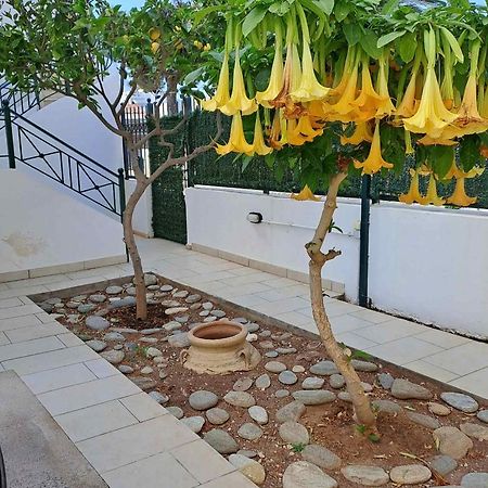 Dimitris Place Near Athens Airport โกโรปิออน ภายนอก รูปภาพ