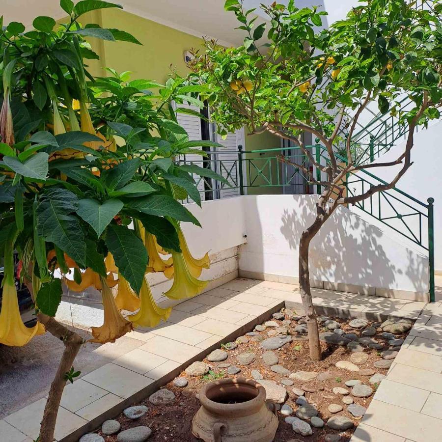 Dimitris Place Near Athens Airport โกโรปิออน ภายนอก รูปภาพ